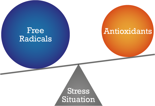 Oxidative stress Oxidative stress
