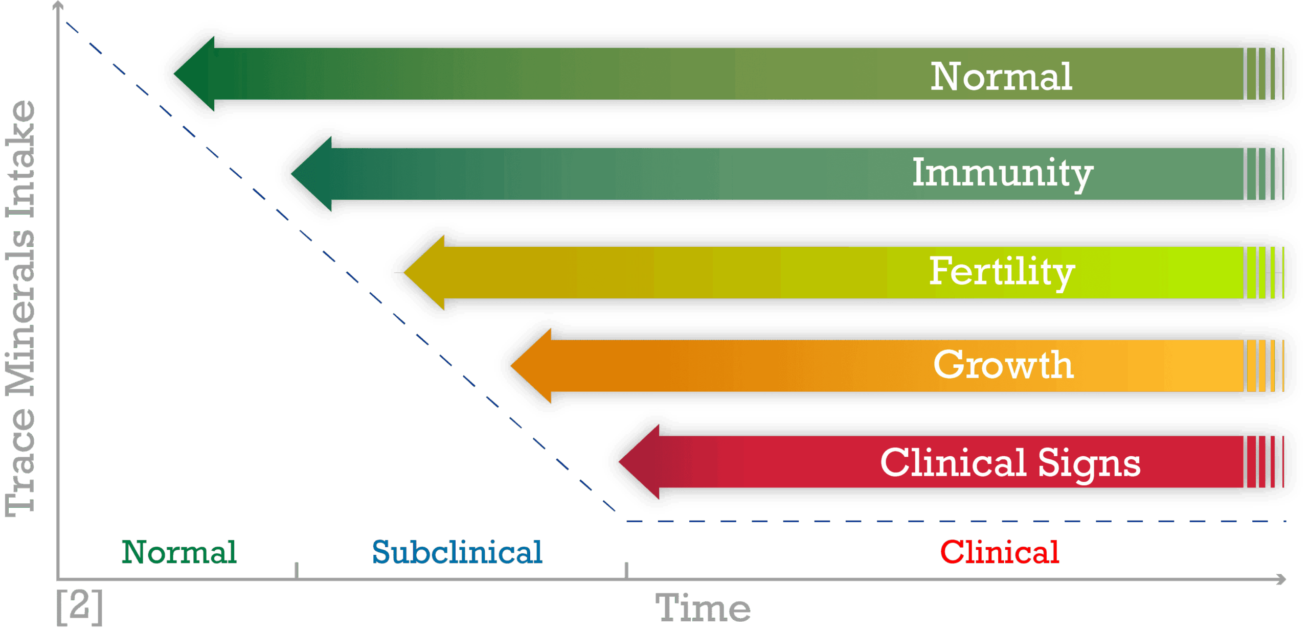 impact animal healt