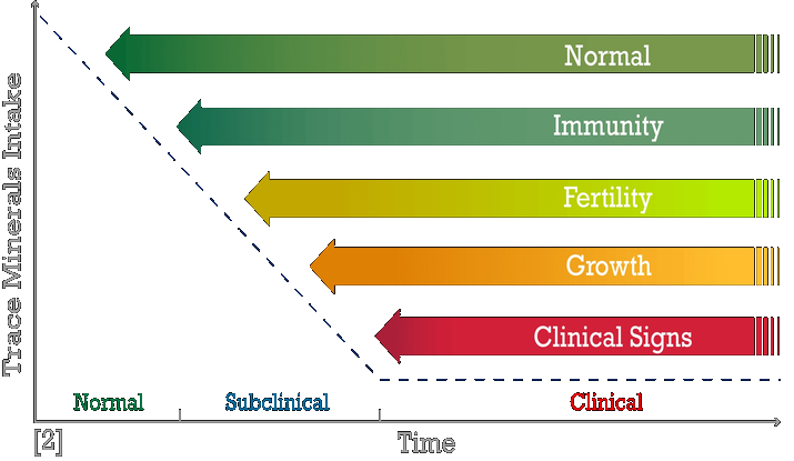 impact_animal_healt_715x415_mobile